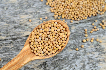 mustard seed in spoon on table