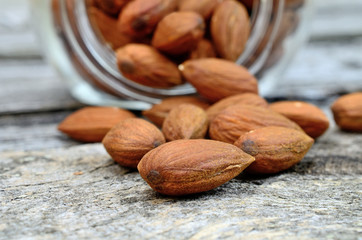 almond on table