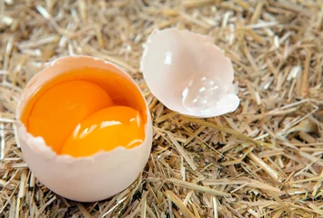Fensteraufkleber Cracked egg with double yolks isolated straw background (country egg) © muratart