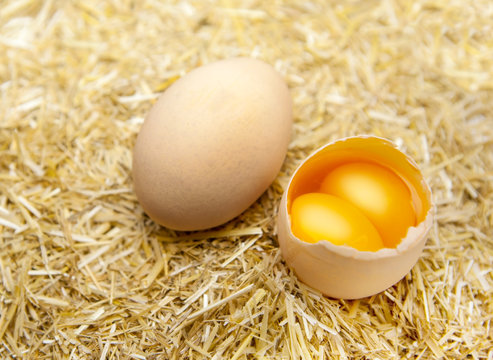 Cracked egg with double yolks isolated straw background (country egg)