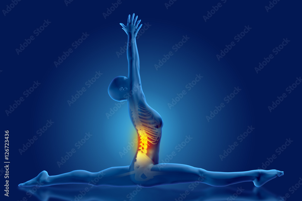 Poster 3D female medical figure in yoga splits position with spine high