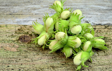 pile of wild hazelnut on table