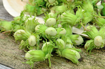 wild hazelnut on table