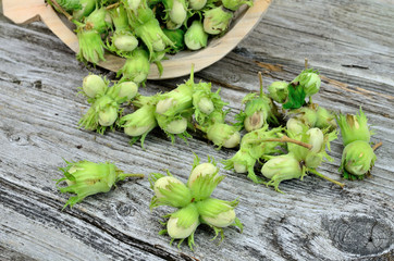wild hazelnut in bowl flow on table