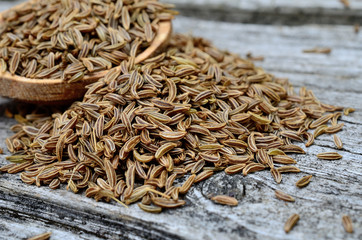 caraway seed on table