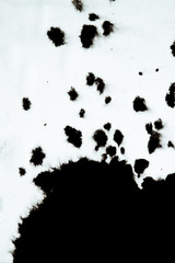 Ink conveyed over a white close-up paper