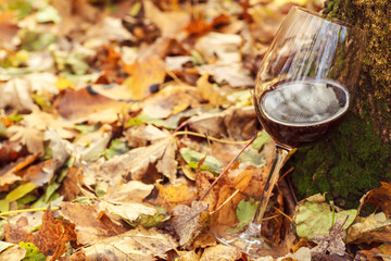 Red wine in autumn forest