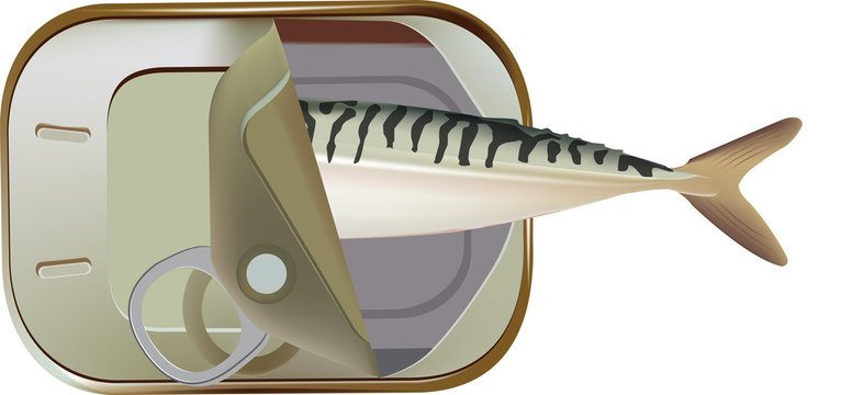 sgombro sott'olio  in scatola