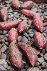 organic sweet potatoes grill on the hot stone. tasty snack for o