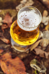 Beer in autumn forest
