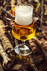 Beer in autumn forest