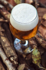 Beer in autumn forest