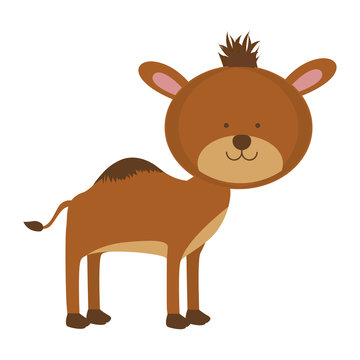 camel animal icon image vector illustration design 