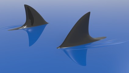 Shark Fins circuling prey 3d Illustration