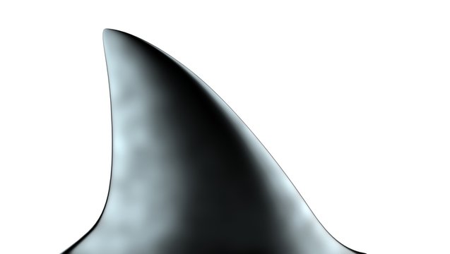 Shark Fin 3d Illustration