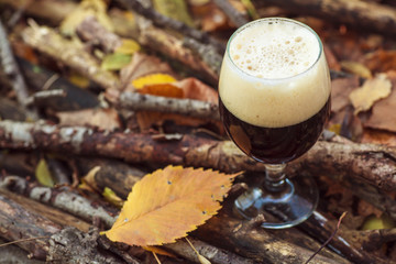 Dark beer in autumn forest