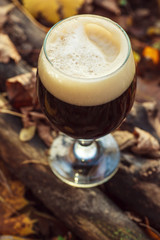 Dark beer in autumn forest