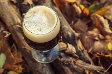 Dark beer in autumn forest