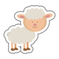 sheep animal icon image vector illustration design 