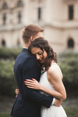 Beautiful wedding couple, bride, groom kissing and hugging against the background of theater