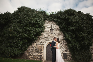 Gorgeous newlywed posing near beautiful wall of plants bushes trees in their wedding day