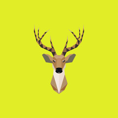 Multicolor Deer head In Beauty Lowpoly Geometric Illustration.