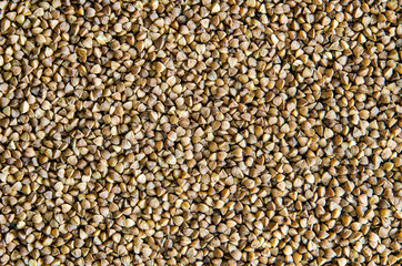 Buckwheat cereal background. Healthy lifestyle concept.