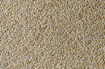 Grain of quinoa. Healthy vegan food.