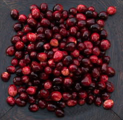 Cranberries on Platter from Above