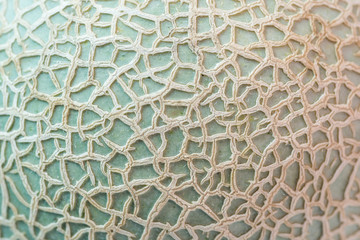 Closed up of Melon skin high magnification