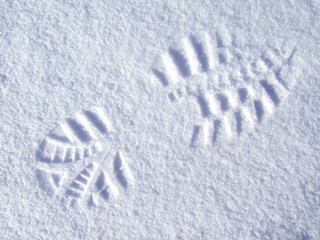 Close-up of fresh shoeprints in the snow 