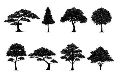 Obraz premium drzewo sylwetka zestaw