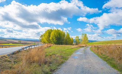 Landscape of Segovia at fall
