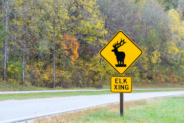 Horizontal Elk Crossing Traffic Sign © starryvoyage