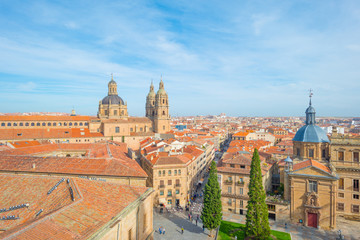 Fototapeta na wymiar Historic building of the city of Salamanca