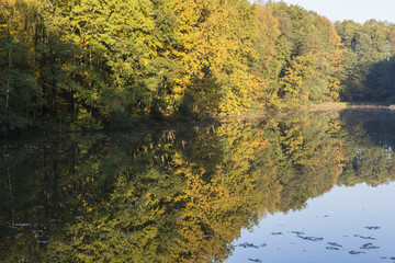 Lake with reflection of trees on water.