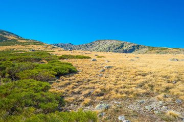Fototapeta na wymiar Hills of natural park Sierra de Gredos