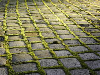 old road paved with moss between the stones