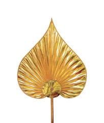 golden talipot fan on white background