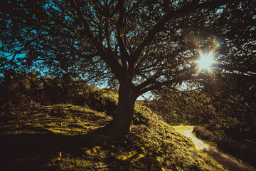 Jersey Uk Landscapes