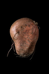 Sweet Potato