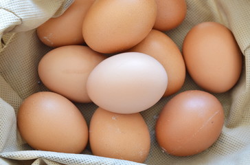 reddish yellow hen egg in fabric bag