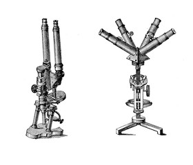 Binocular and quadriocular microscope, XIX century