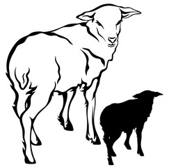 lamb outline and silhouette black and white vector design