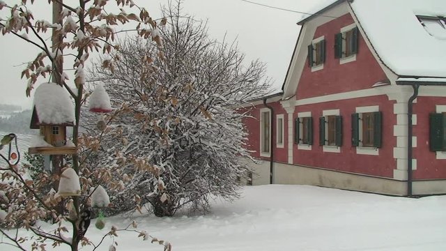 Leichter Schneefall und Spatzen, Meisen und Buntspecht sind im Neuschnee auf Futtersuche (Totale)