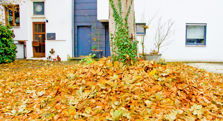 Herbstblätter vor dem Haus