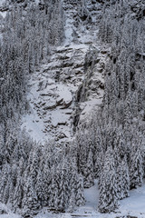 Skiing and Snowboarding in the winterly Stubai Alps