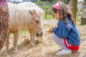 outdoor portrait of young happy smiling girl feeding pony horse
