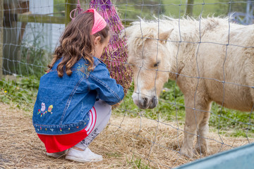 outdoor portrait of young happy smiling girl feeding pony horse