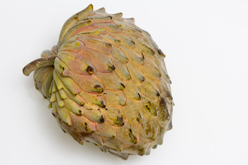 Atemoya